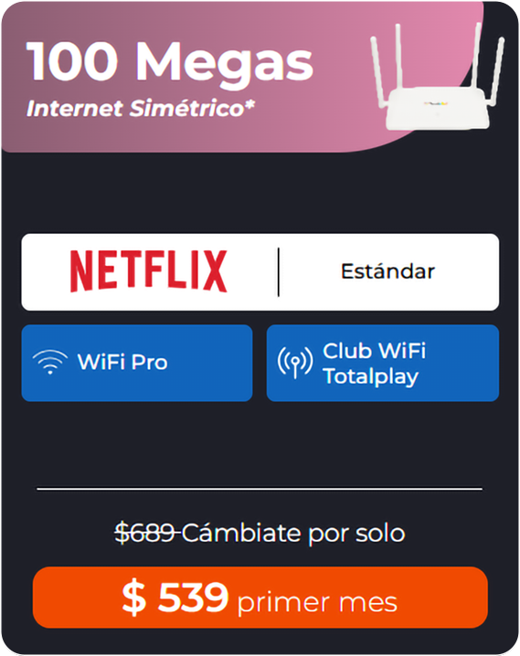 Internet Netflix 100MB