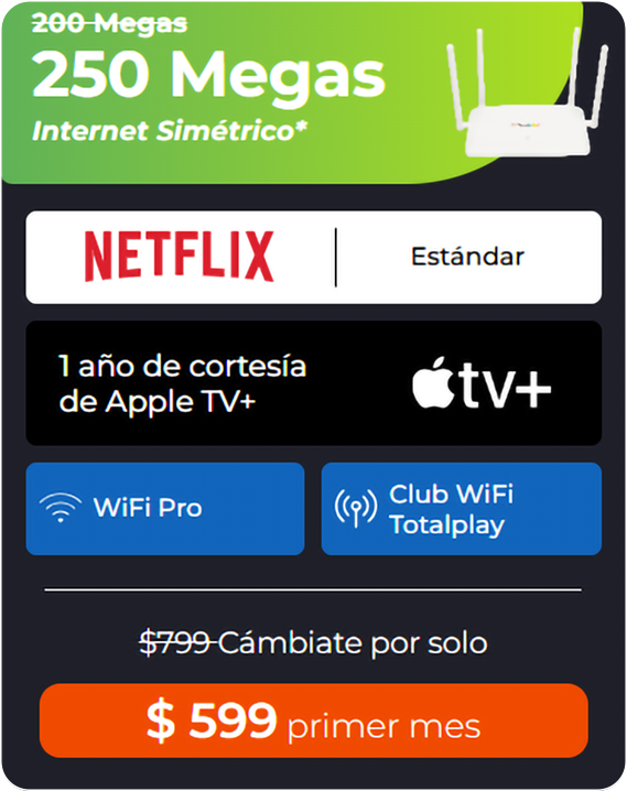 Internet Netflix 250MB