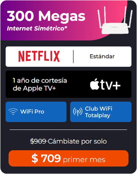 Internet Netflix 300MB