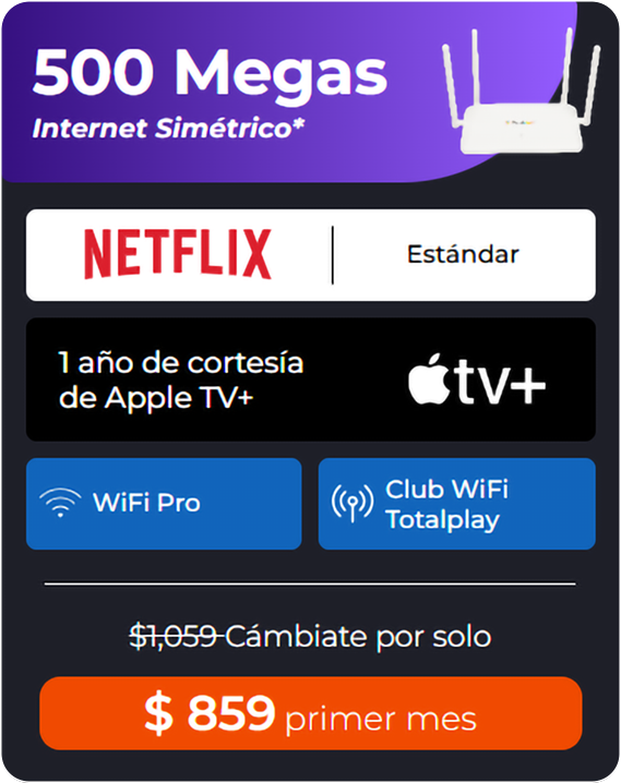 Internet Netflix 500MB
